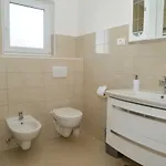 Apartment Zrilic *